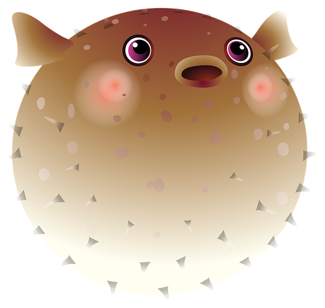 魚から学ぶ、さかなくんから学ぶ。